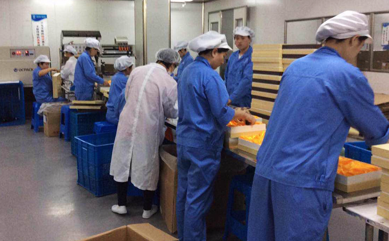 大醫(yī)精成、厚德懷仁、用百年基業(yè)，護(hù)航人類(lèi)健康百歲工程---10年的品牌10年的沉淀