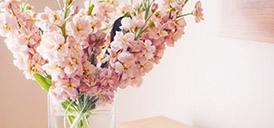 媽媽50歲后，懂點艾灸比上好的補品強十倍！